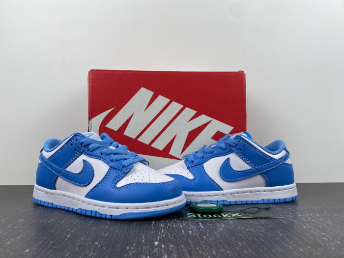 kids nike dunk low 