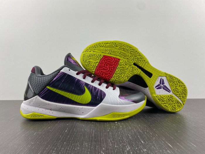 zoom kobe 5 protro 