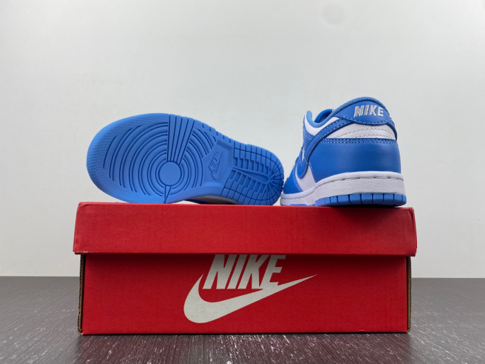 kids nike dunk low 