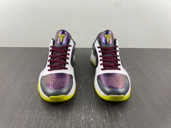 zoom kobe 5 protro 