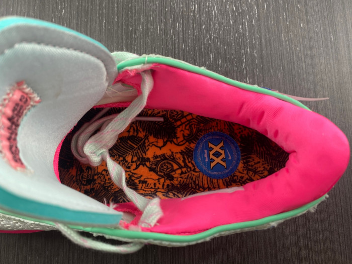 nike lebron 20 ep time machine dj5422-300