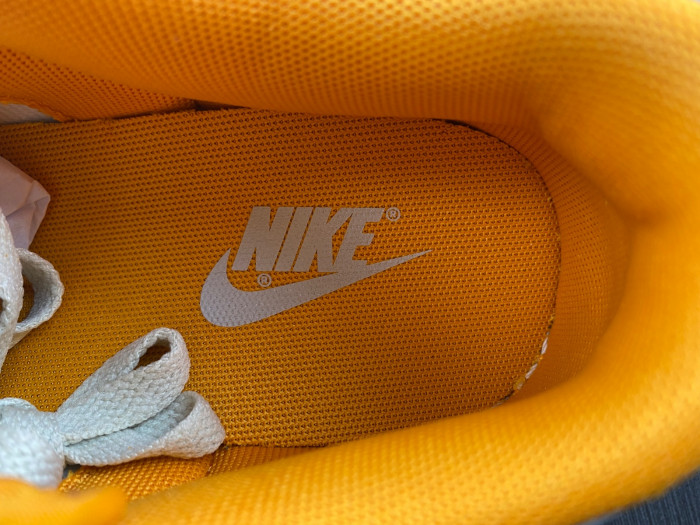 nike dunk low "kumquat" dr0156-800