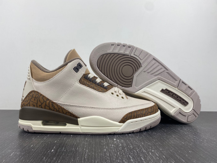 air jordan 3 palomino ct8532-102