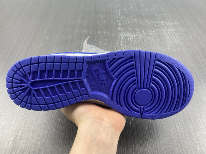 nike dunk low blueberry (gs) - dz4456-100