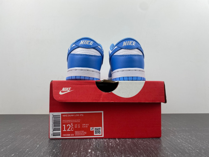 kids nike dunk low 