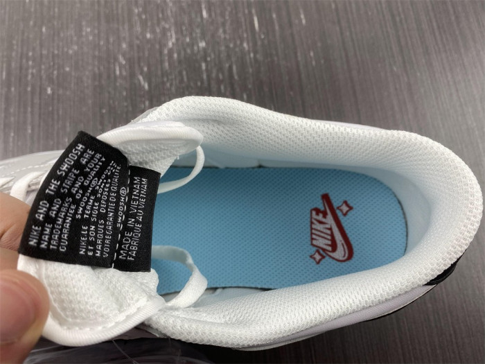 nike dunk low lottery dr9654-001