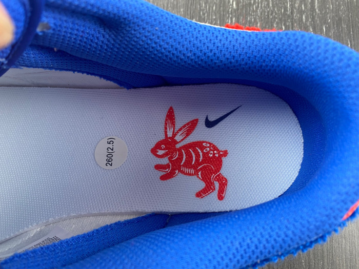 nike dunk low "year of the rabbit" fd4203-161