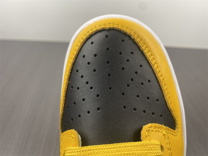 nike dunk low championship goldenrod dd1391-004