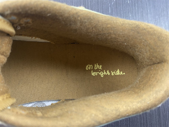 nike dunk low on the bright side (w) - dq5076-121