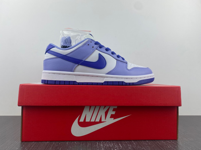 nike dunk low blueberry (gs) - dz4456-100