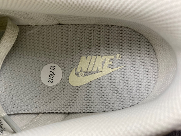 nike dunk low Ch*0me He**ts - dd1503-107-01