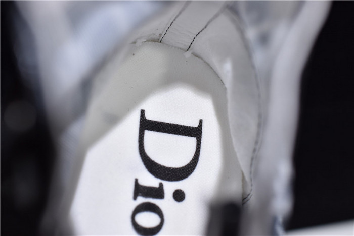 d10r b23 homme kaws high top sneaker