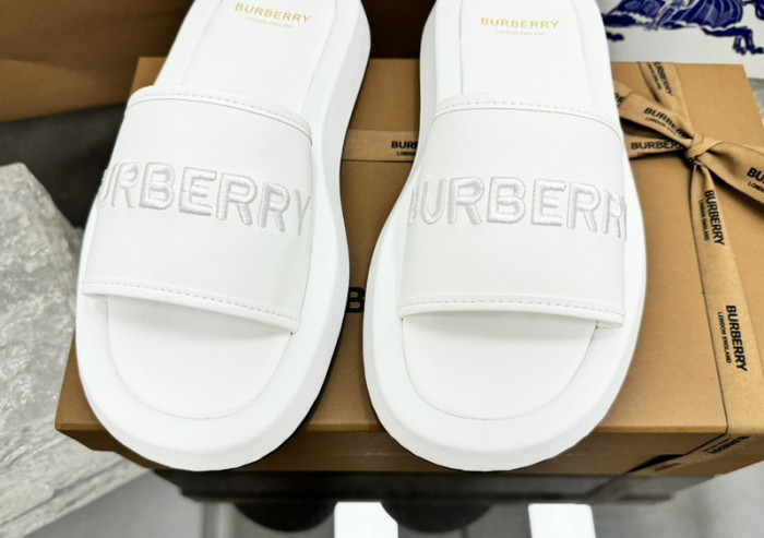 bur ** slides bur-428019