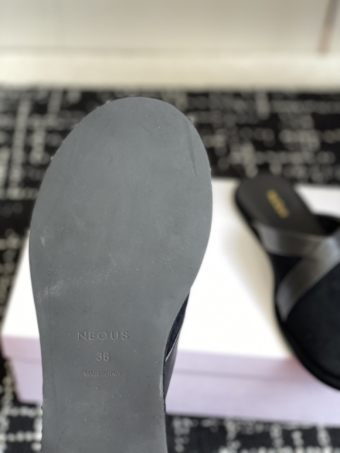 NEOUS Slides OT0104-034