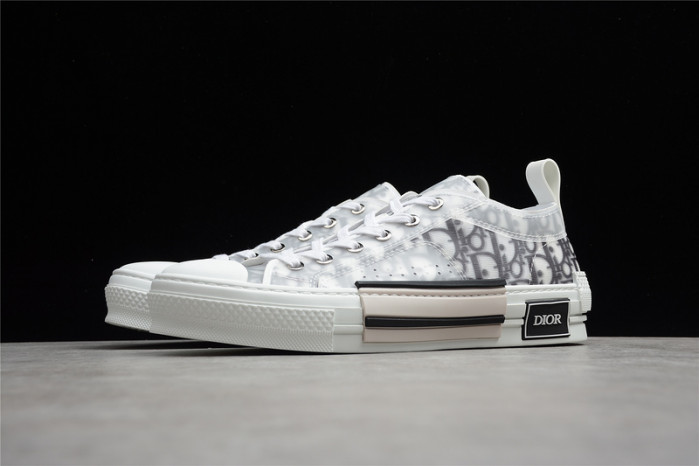 d10r b23 low top logo oblique sneakers