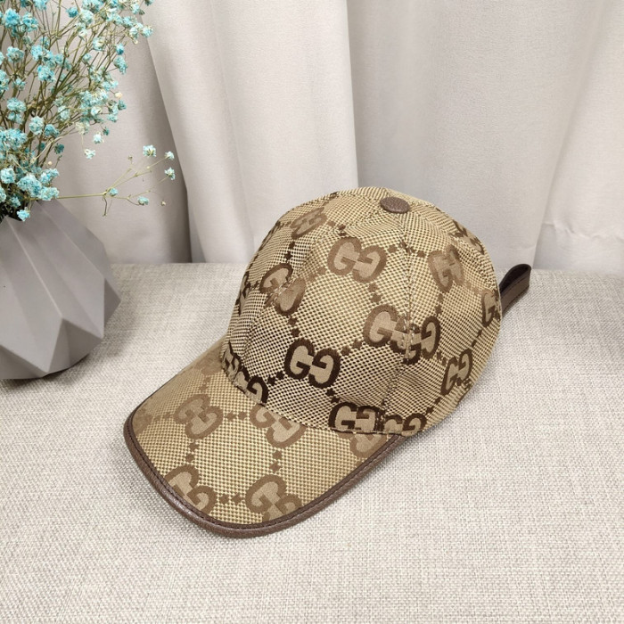 G*u*i* hat0229-003