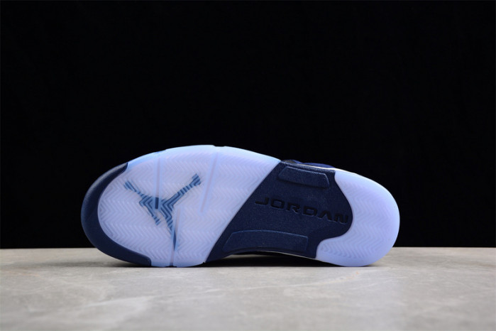 Air Jordan 5 Retro SE 