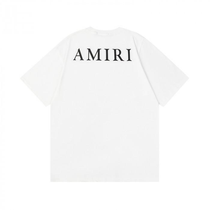 am1r1 am229-039