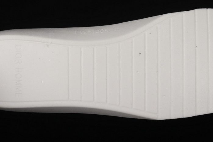 d10r b23 homme kaws high top sneaker