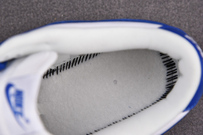 nike dunk low sp kentucky (2020) cu1726-100