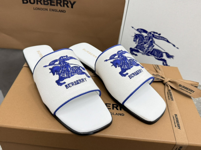 bur ** slides bur-428010