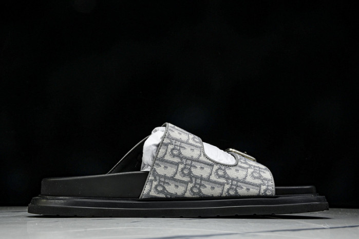 DIOR SLIPPERS DS258-066