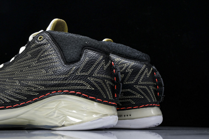 Titan x Air Jordan 23 Retro SP 