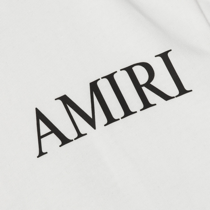 am1r1 am229-037