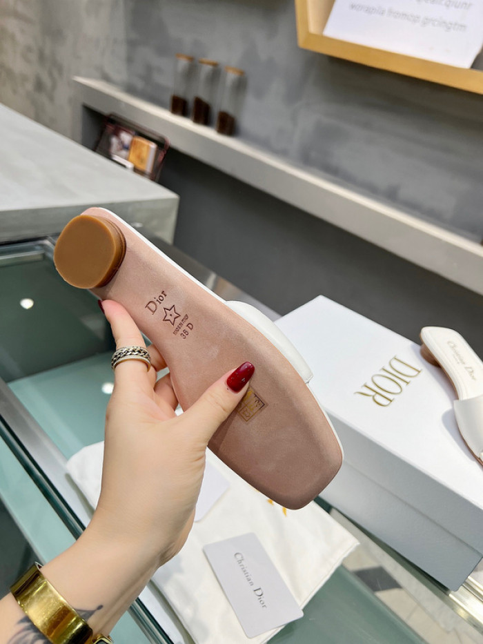 DIOR SLIPPERS DR258-035