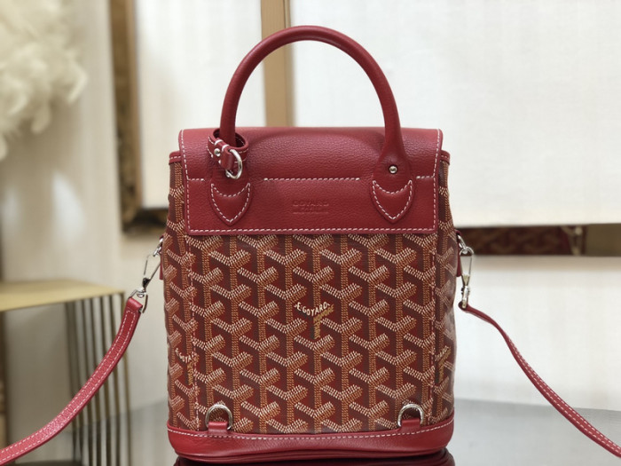 g0yard bag B0113-098