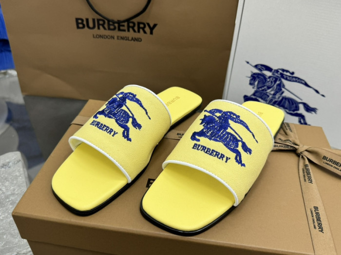 bur ** slides bur-428011