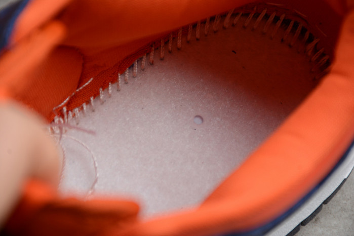 nike dunk low champ colors (2020) cu1727-800