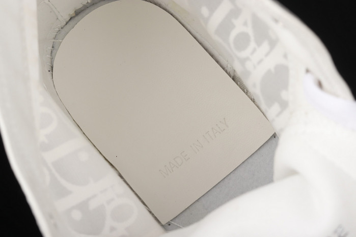 d10r b23 homme kaws high top sneaker