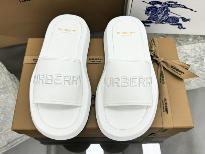 bur ** slides bur-428019