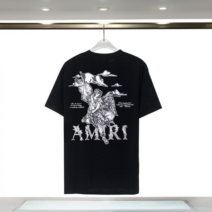 am1r1 am229-017