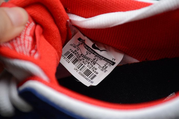 nike dunk sb low ishod wair "bmw" 839685-416