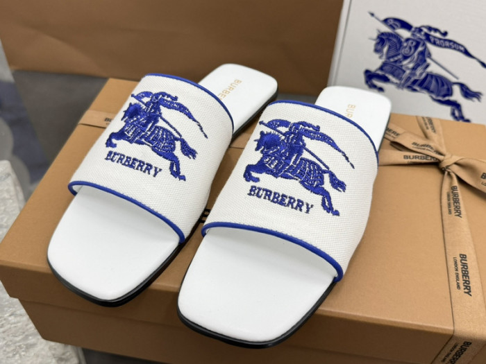 bur ** slides bur-428010