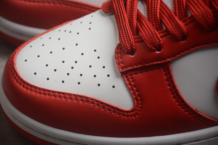 nike dunk low retro sp 