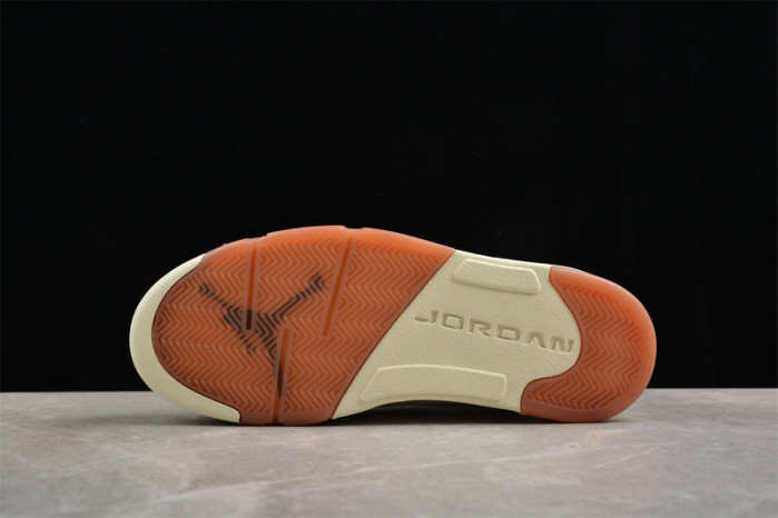 Air Jordan 5 Retro 