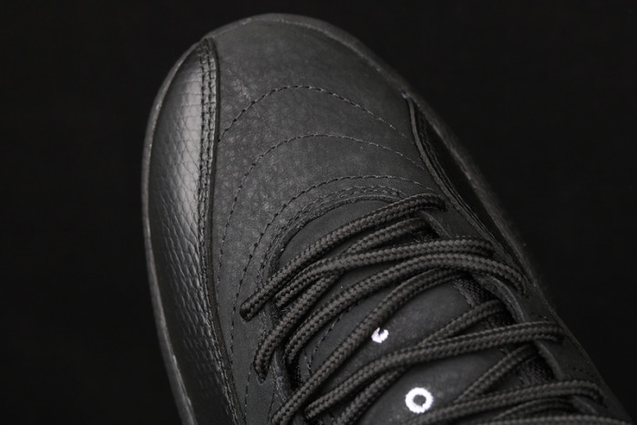 air jordan 12 retro black dark concord ct8013-005